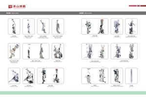3D Printer Printers FastCOLOUR gtgt ATools DTF Textile (Page 17 / 181) 兆山绣机产品手册