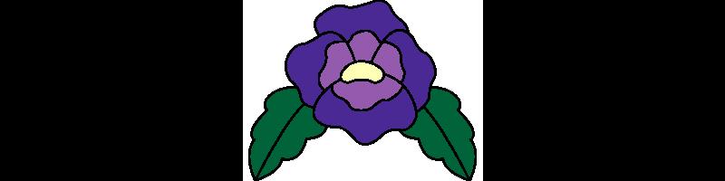 Pansy.bmp