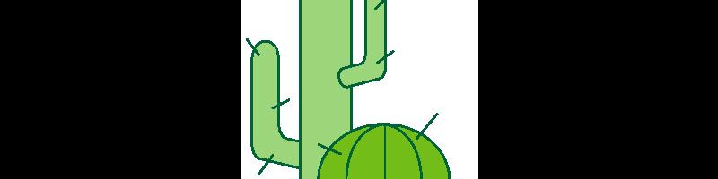 Cacti.bmp