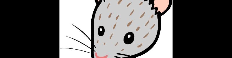 mouse.bmp