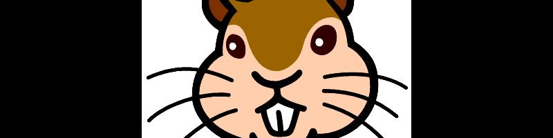 squirrel.bmp