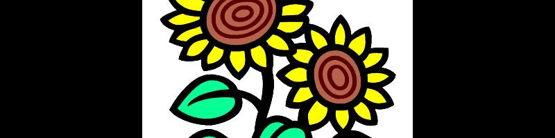 sunflower.bmp