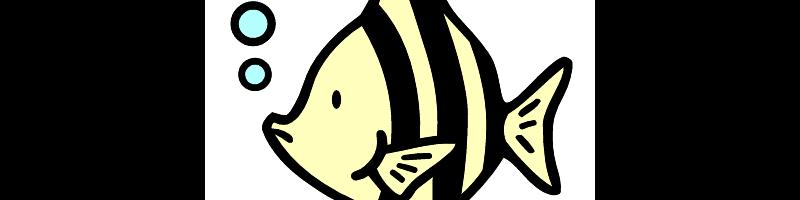 toropical fishB.bmp