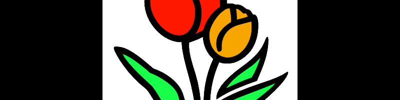 tulip.bmp
