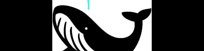 whale.bmp