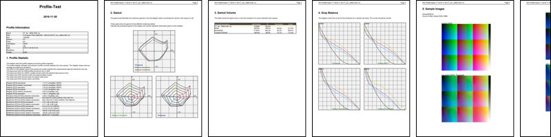 ProfileReport_CT_am_v360x1440.pdf