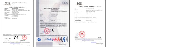 Raycus C2000 CW Fiber Laser SGS Verification of Compliance.pdf