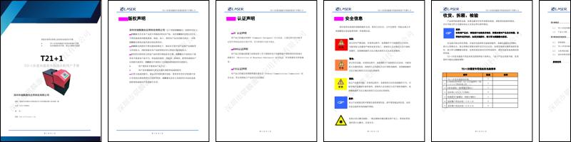 LaserMaster Dedicated Wire Feeder 骐麟T21+1步进双通道专用送丝机用户手册+V1.0.pdf