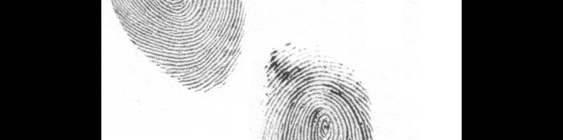 Fingerprints.mim