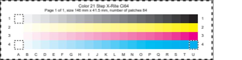 Color 21 Step Ci64.pdf