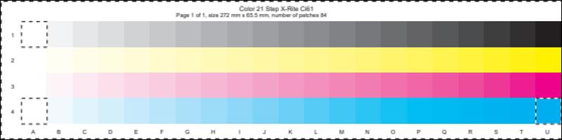 Color 21 Step Ci61.pdf