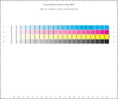 Page 1 1 of Color 21 Step CMYK FD9 Home 3D PrintUP (Page 1 / 4) Color 21 Step CMYK FD-9