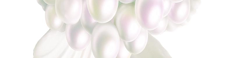3d pearls in open seashell_16013907.prtQY.bmp