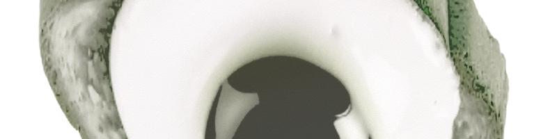 an egg is sitting on_14681627.prtQY.bmp